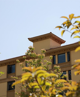 金色年华荣膺“2025年度浙江省五星级养老机构”称号